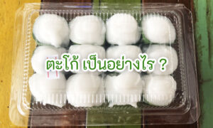 Read more about the article ตะโก้ เป็นอย่างไร ?