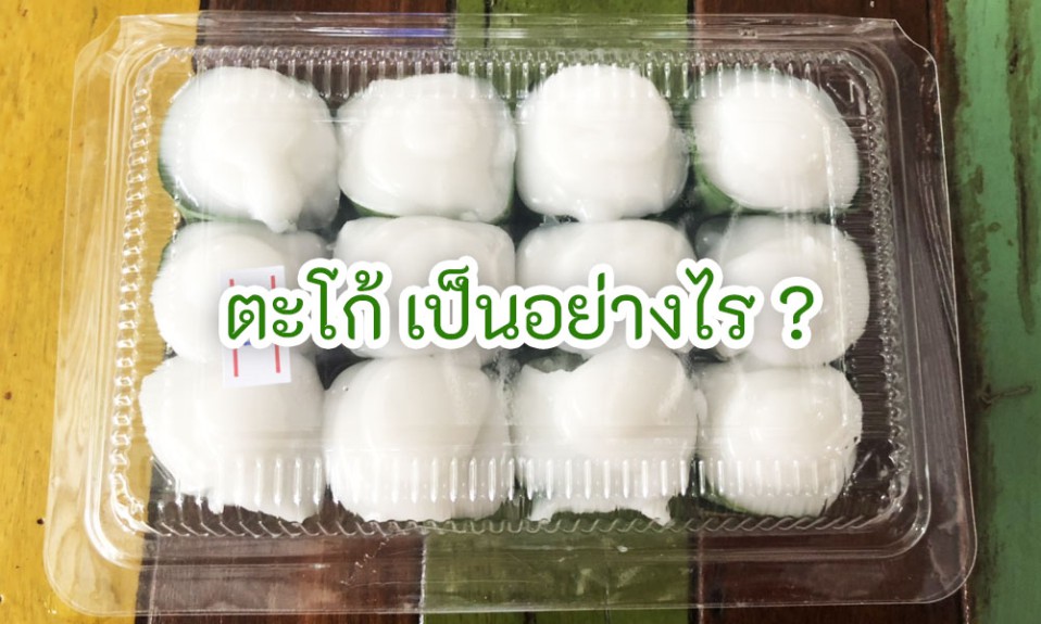 ตะโก้ เป็นอย่างไร ?